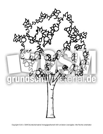 Ausmalbilder-Apfel-B 8.pdf